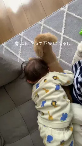 mのTikTok投稿