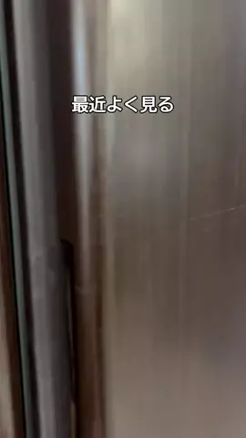 ショウ｜サウナとゴルフと出世のTikTok投稿