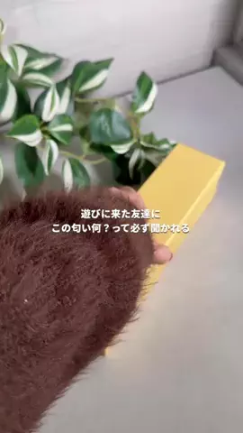 とらりんか|名もなき家事と闘うワーママのTikTok投稿
