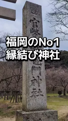 ダイエットティーチャーやのへいのTikTok投稿