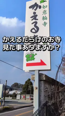 ダイエットティーチャーやのへいのTikTok投稿