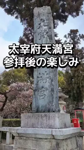 ダイエットティーチャーやのへいのTikTok投稿