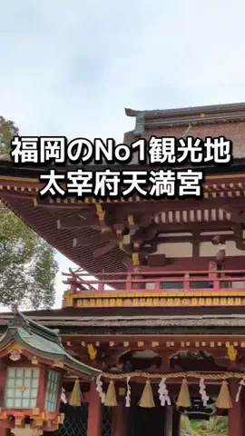 ダイエットティーチャーやのへいのTikTok投稿