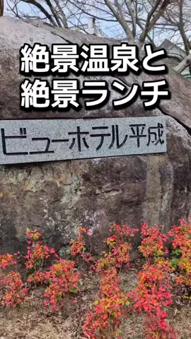 ダイエットティーチャーやのへいのTikTok投稿