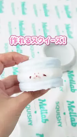 くろ⌇シールと散財記録のTikTok投稿