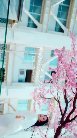 Fisic（Film&Music）のTikTok投稿