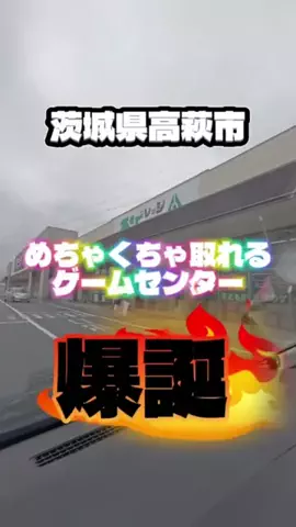 あゆさん🐟のTikTok投稿
