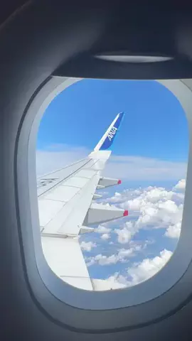 フォーユー｜東京発 ▷イベント・お出かけ・旅行のTikTok投稿