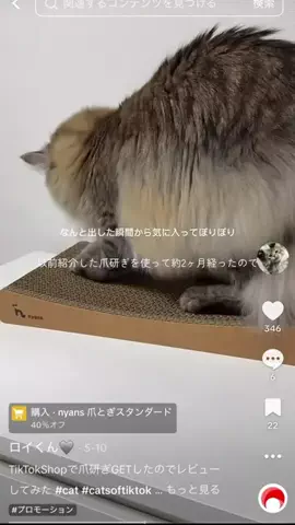 ロイくん🩶のTikTok投稿