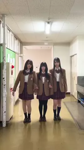 きっと青春の1ページのTikTok投稿