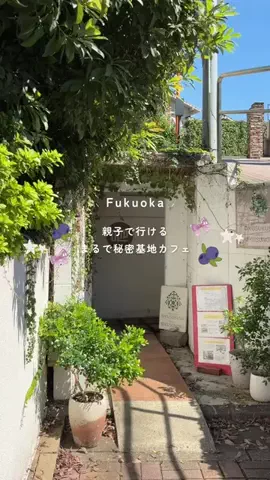 さがなびのTikTok投稿