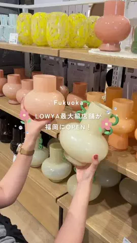 さがなびのTikTok投稿