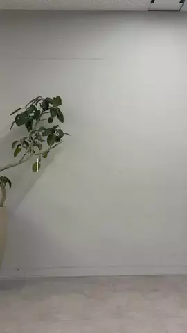 yumiのTikTok投稿