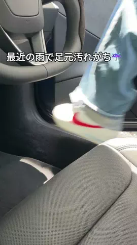 きなこ|頭金ゼロでEV買った女のTikTok投稿