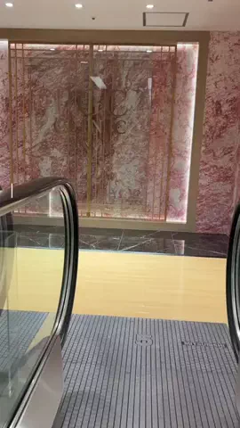 イカ飯ちゃんのTikTok投稿