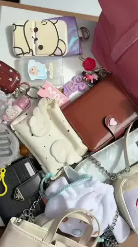 イカ飯ちゃんのTikTok投稿