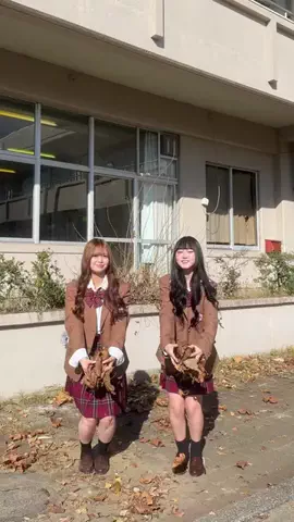 きっと青春の1ページのTikTok投稿