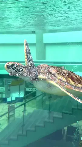 はいちーずの鹿児島旅✌️のTikTok投稿