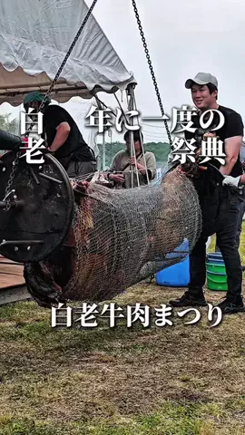 きたごはん🍚札幌グルメ、スポットのTikTok投稿