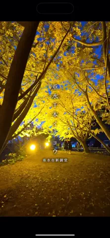 はいちーずの鹿児島旅✌️のTikTok投稿