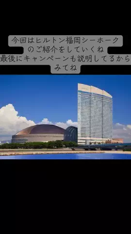 ユメ|   TikTokshop、GO正直レビューのTikTok投稿