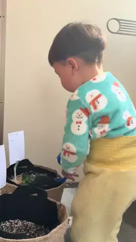 はるでいず☀️のTikTok投稿