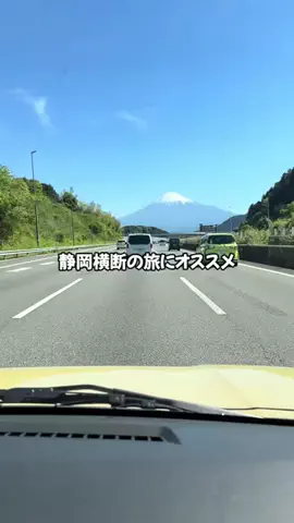 Sample2023のTikTok投稿