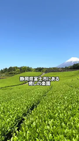Sample2023のTikTok投稿