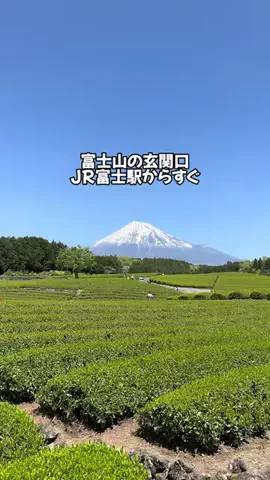 Sample2023のTikTok投稿