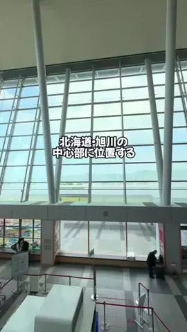 Sample2023のTikTok投稿
