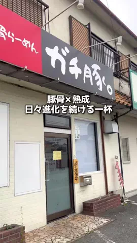 奈良グルメ攻略 | 人に話したくなるｸﾞﾙﾒ🦌のTikTok投稿