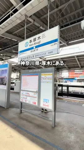 Sample2023のTikTok投稿