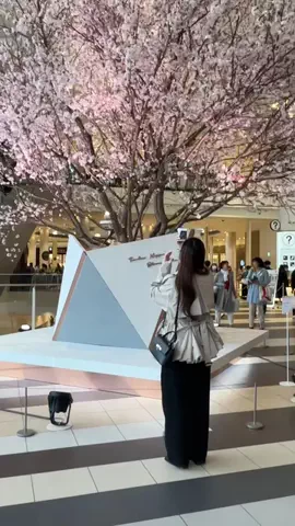 れいのTikTok投稿