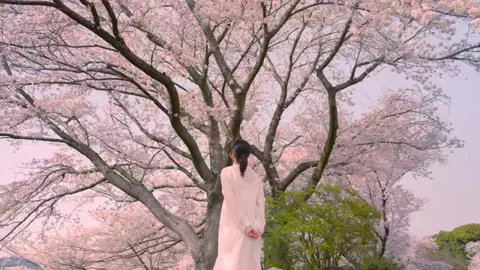 🇯🇵YukiのTikTok投稿