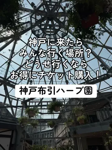 37歳おっさん旅垢のTikTok投稿