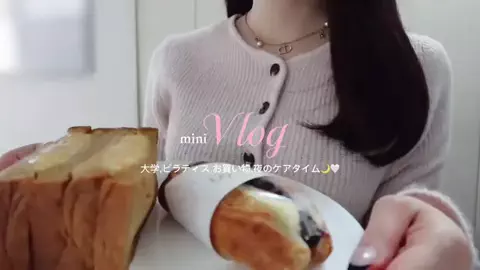🪽のTikTok投稿
