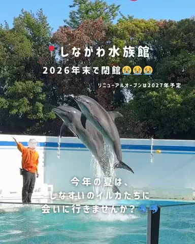 みぽ🌞心震える旅の記録のTikTok投稿