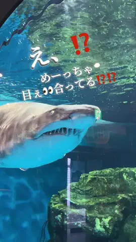 みぽ🌞心震える旅の記録のTikTok投稿
