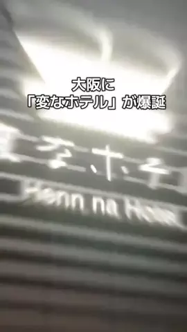 おじさんのTikTok投稿