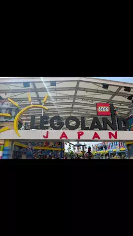 おじさんのTikTok投稿