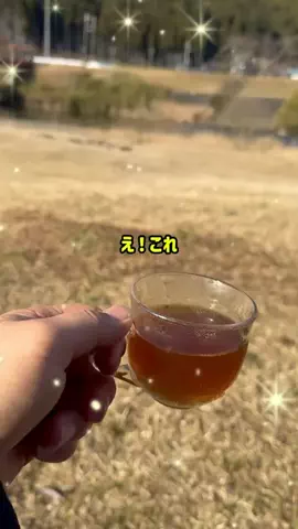 いちごのTikTok投稿