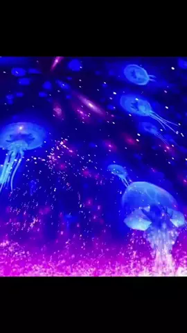 おじさんのTikTok投稿