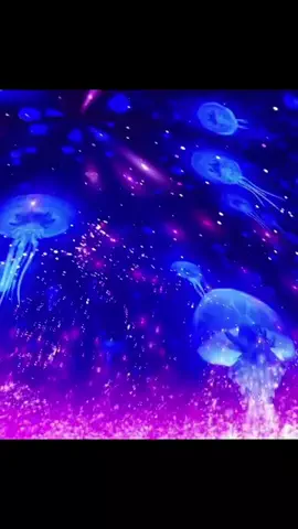 おじさんのTikTok投稿