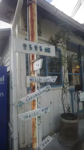 おじさんのTikTok投稿