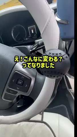 いちごのTikTok投稿