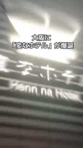 おじさんのTikTok投稿
