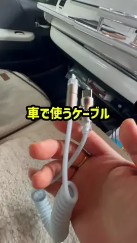 いちごのTikTok投稿