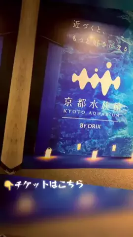 おじさんのTikTok投稿