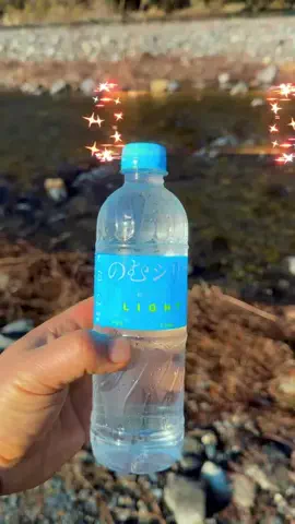 いちごのTikTok投稿