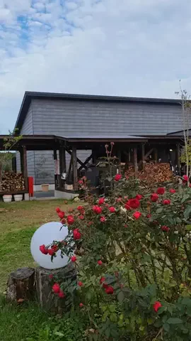 THE SECOND NのTikTok PR投稿：📌 flowerpark ibaraki#PR #TikTokGO #goで素敵な旅キャンペーン #fyp 